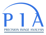 PIA_Logo cropped